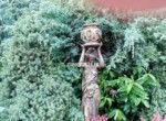 IMG_20170712_174432